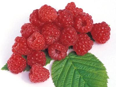 Малиновая красота или маски для лица из малины